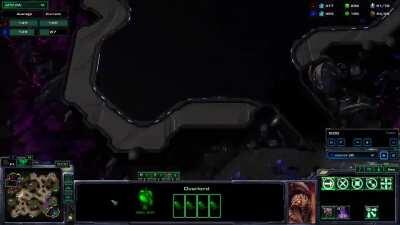 A new cheese I have been using vs Protoss. I call it 