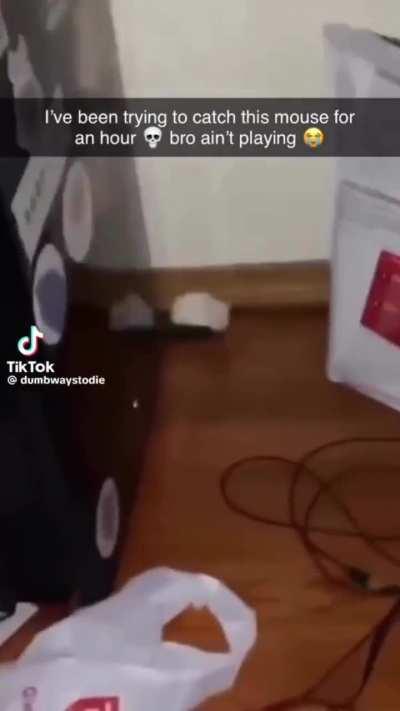 The Rats in the Rubber Rooms