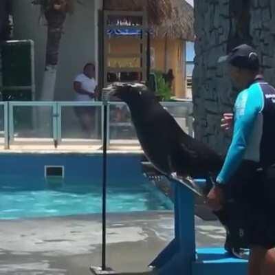 Ladies and Gents, Seal-O-Green