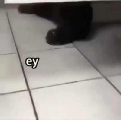 Never trust public toilets