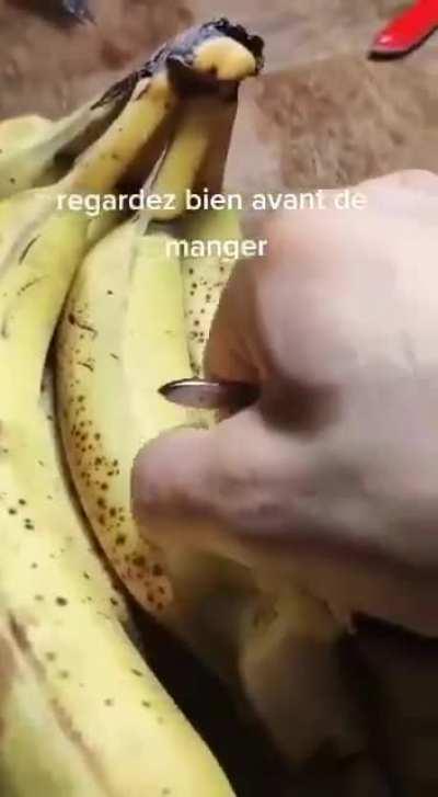 Плюс один в список фобий