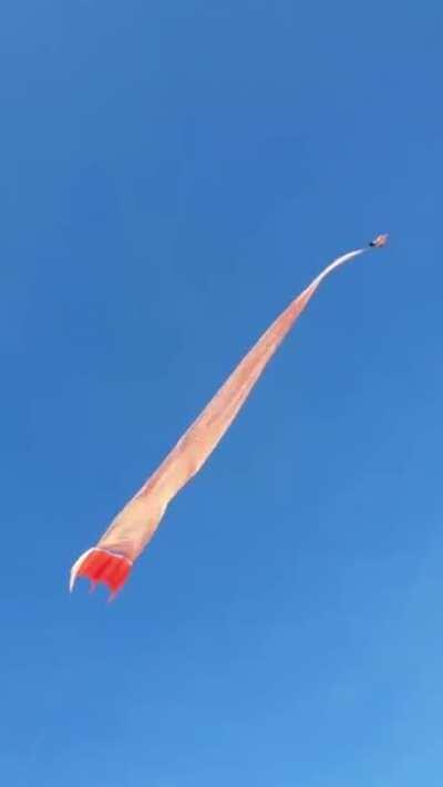 WCGW being standing by near a huge kite