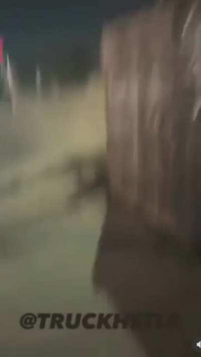 What kinda drugs ya think the trucker was on? 🤕🤕🤕