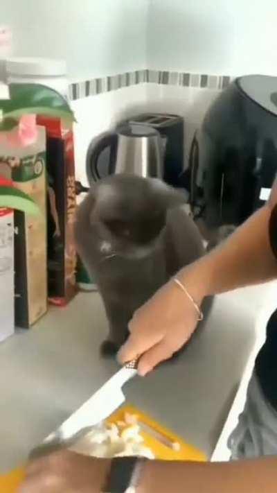 that's why i don't like to cuts onions