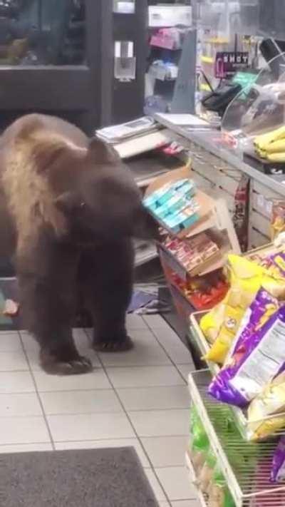 was as gentle as possible 🐻