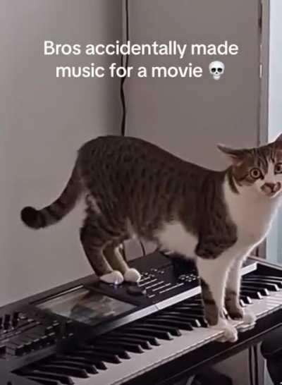 Isso pq foi acidentalmente