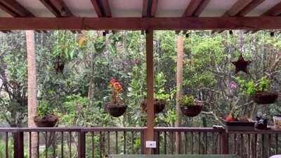 Rain season doesn’t seem to end in Santa Elena, Medellin, Colombia 🇨🇴