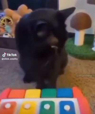 Bro just played a masterpiece