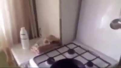 I think my dog is barking now