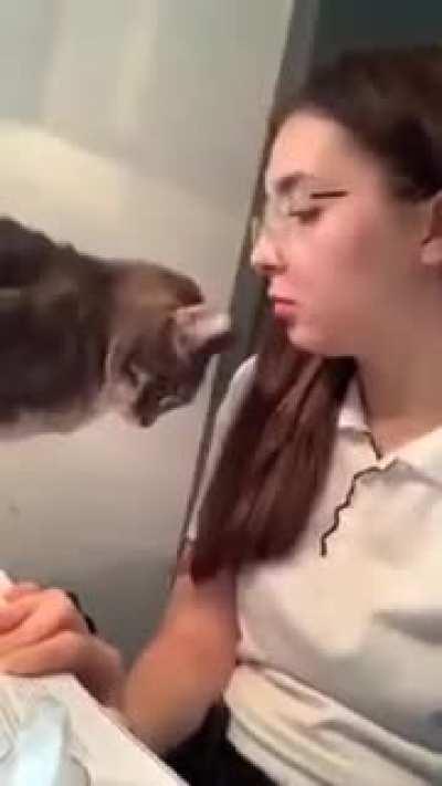 Do you think it is a violation of animal rights?