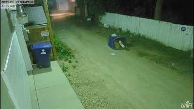 These wonderful people spectacularly plowed through the garbage bins in our back alley at 4am for no reason.