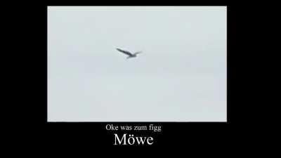 Aber wo geit si häre?