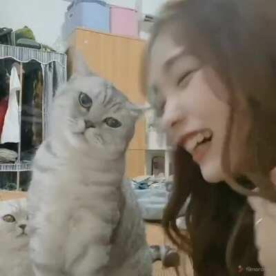 No kiss, just headbutt