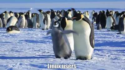 Windows VS Linux Updates Meme (made with FOSS)