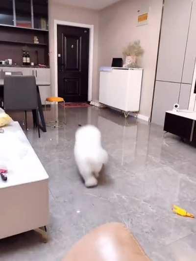 This is what happens when it's covid and there's nothing to do