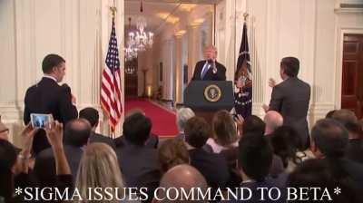 Donald Trump sigma moment [OC]