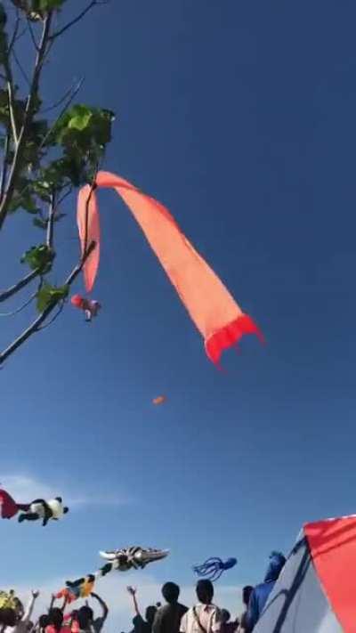 3 year old girl gets caught in kite and is sent flying during Hsinchu's kite festival