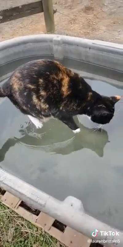 how it stands on the water?