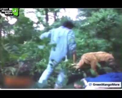 El dolar contra los yaguaretes