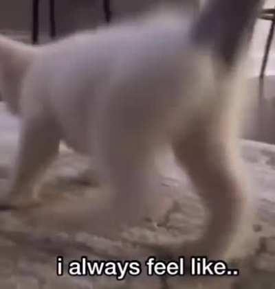 Someone is watching this.