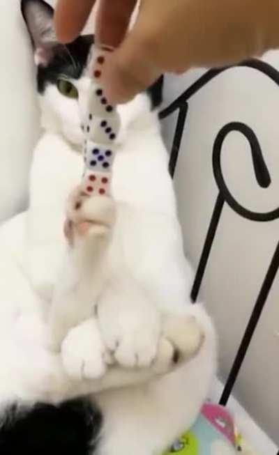 Остаток средств