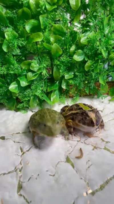 Yoo that one was mine