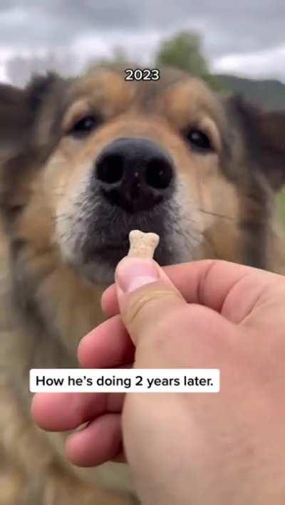 He just needed someone to love him. 😭  