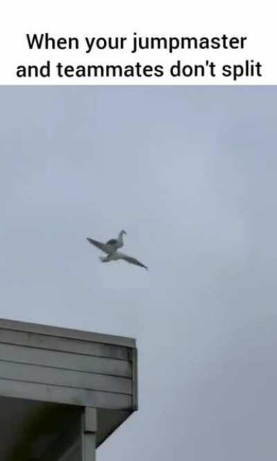 Really does feels like that