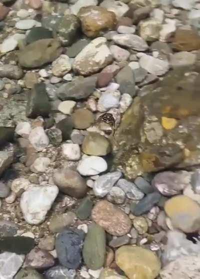 Its not Wednesday but my dude needs me