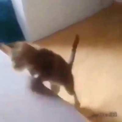 uuuuuu aoouiiii bUUUUUU