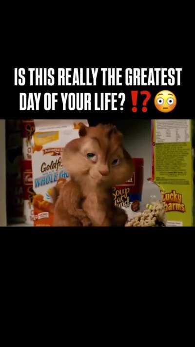 The Minecraft server has been updated to fit your standards Goodnight 🫄🥀