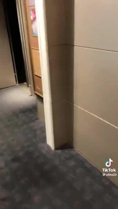 Mira la peli beelce si el lo hizo tu tambien 🚬