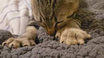 Reddit, meet Professor Ketchup aka 