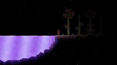 Jumping into Shimmer