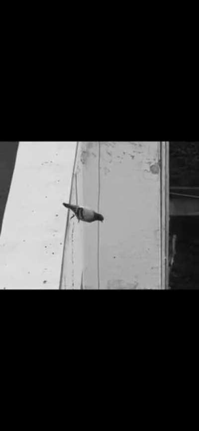 Richard Will Be Missed :(