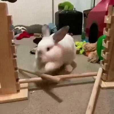 To heck with your stupid trick jump sets