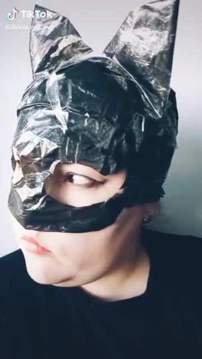 Holy catnip Batman, we're in a Weird Al parody