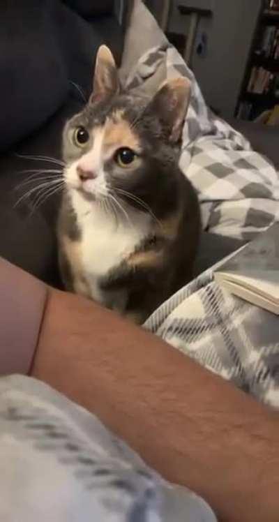 He is so polite 🥺✨