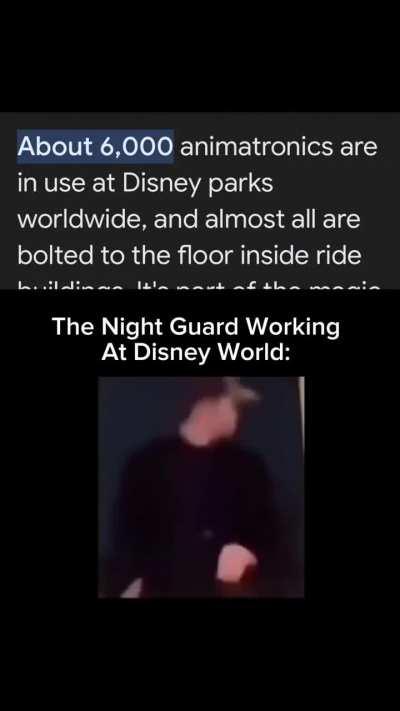 The chaos shall begin 