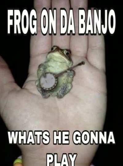 Frog with ye banjo
