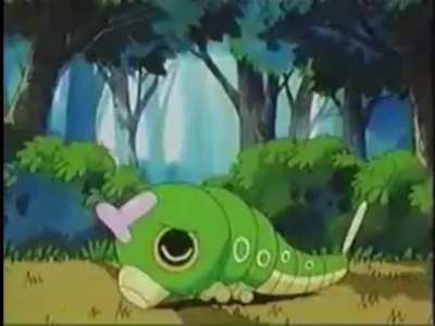 Kids WB - Kooky Karolfest on Christmas Eve - Caterpie