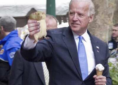 The rat has returned to Biden