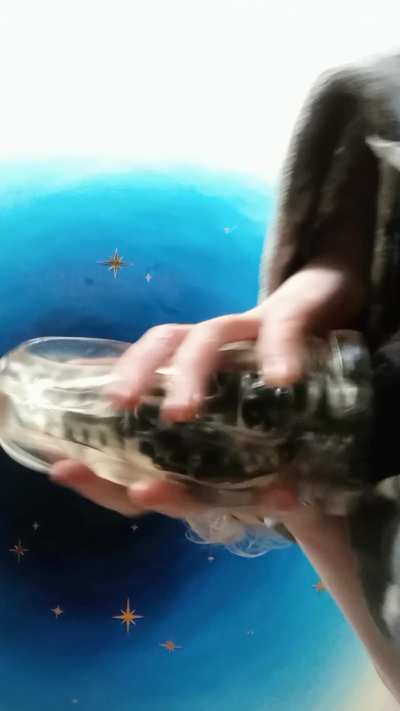 First time trying the tentacle + Fleshlight combo