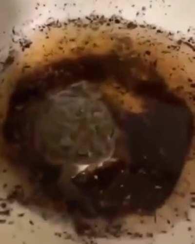 I’m sorry but that made me jump./-