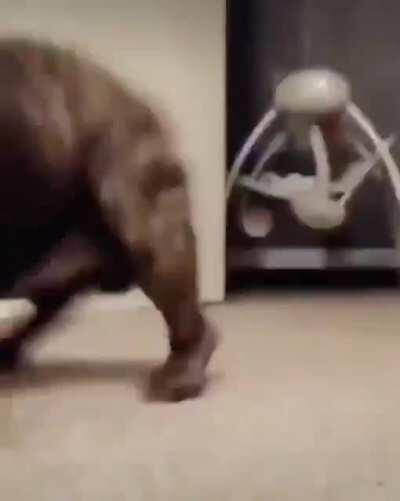 Dude, wait, what the fuck did you say?