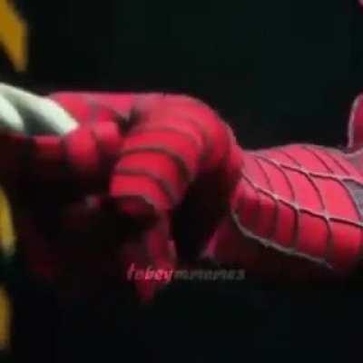 Certified hood classic