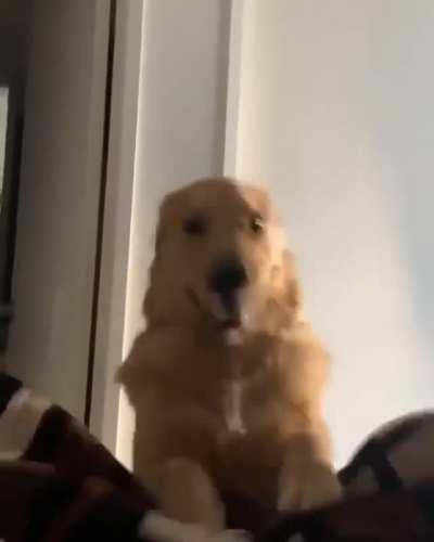 Wake. Up. And. Make. Me. Lunch!