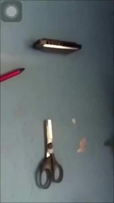 *cries in background*