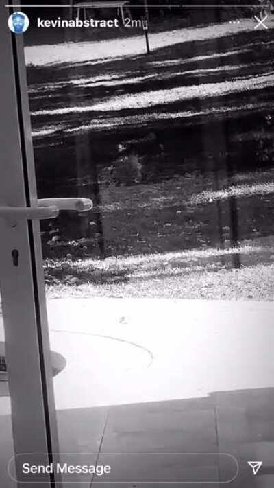 NEW SNIPPETS NEW SNIPERS NEWBSKDNO SNIELTS