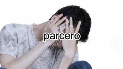 a brisa q vei a milhao parceiro